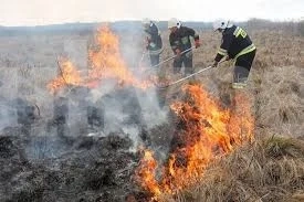 Пожар изпепели 350 декара треви край Киселево