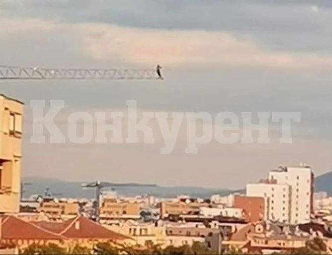 Мъж се покатери на върха на кран за селфи в София