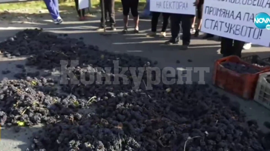 ТРАКТОРИ НА ПЪТЯ: Протестиращи лозари блокираха движението край Монтана