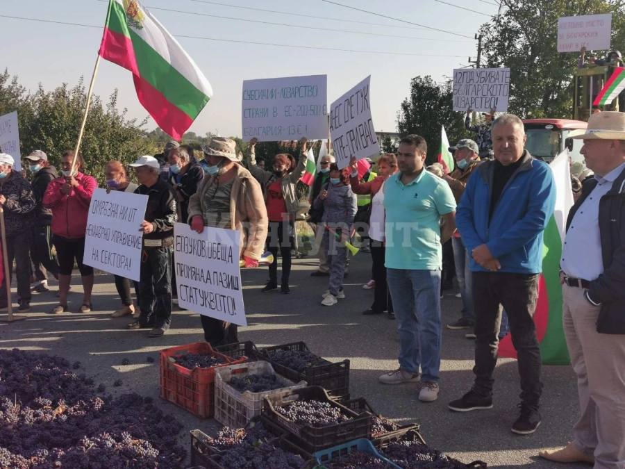 Вижте СНИМКИ+ВИДЕО от протеста на лозарите от Северозапада