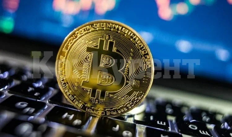 Това е първата страна, която направи биткойна своя официална валута