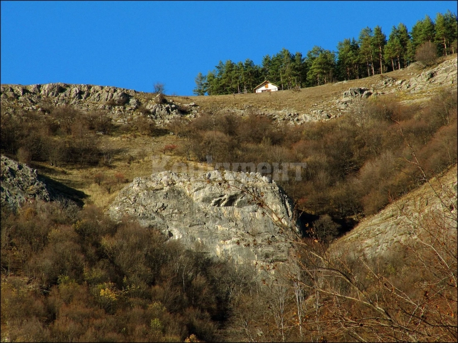 Канят на разходка във Врачанския балкан
