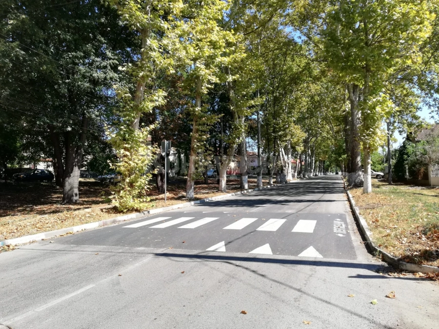 Община Козлодуй постави 7 нови изкуствени неравности по пътното платно 