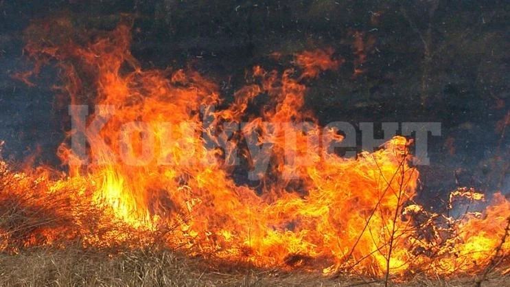 Гасиха пожар в Бутан, оказа се, че...
