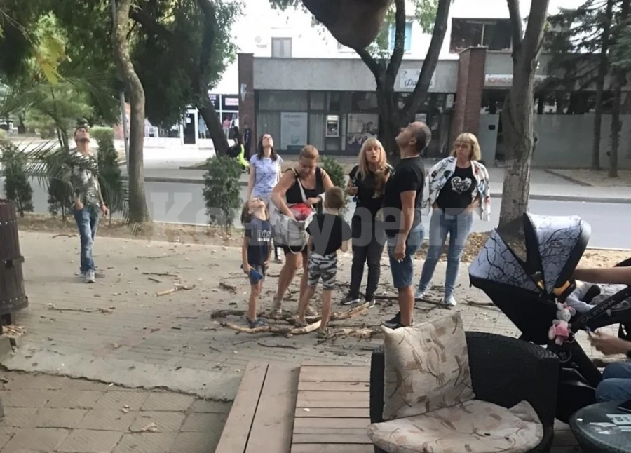Клон падна върху дете в Козлодуй СНИМКИ