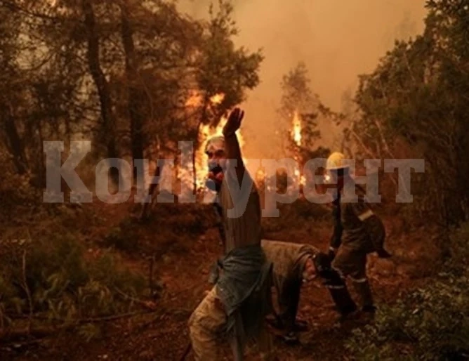Бедствено положение в щата Калифорния заради горските пожари