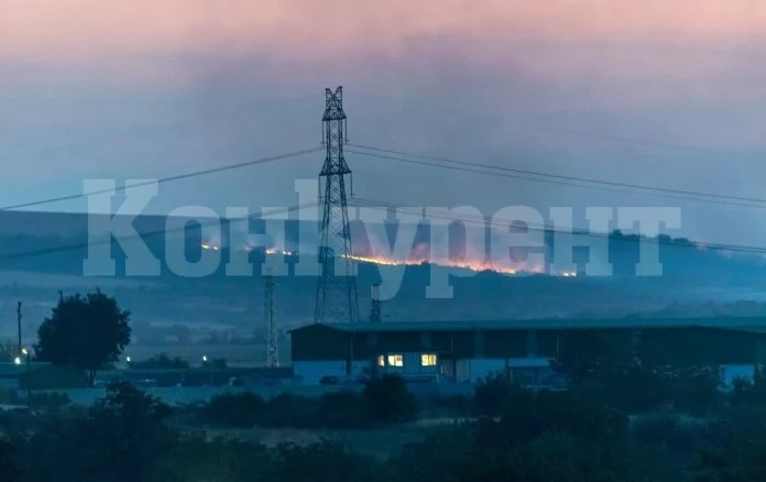Голям пожар вилня край язовира в Козлодуй