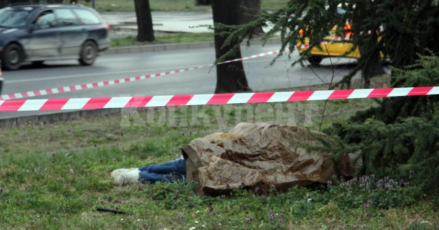 Ужасяваща гледка край Сърница