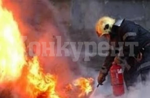 ОГНЕНО БЕДСТВИЕ: Две коли, птици и дърва изгоряха при пожар във Видинско