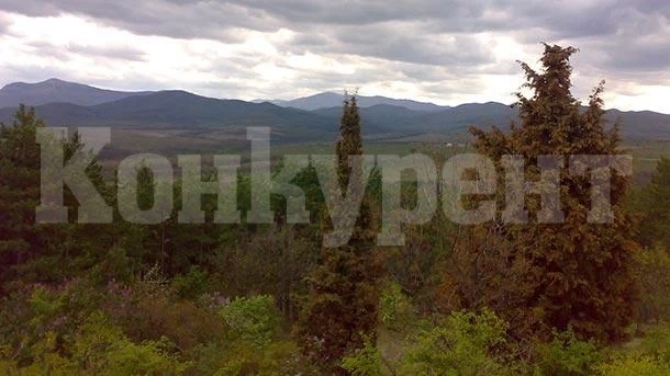 В Белоградчик актуализират цената на дървата за огрев
