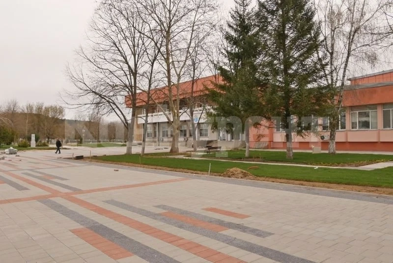 В Криводол отдават имот за 10 години на търг