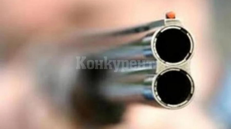 Осъдиха пенсионер за убийство на котарак, откраднал му луканката