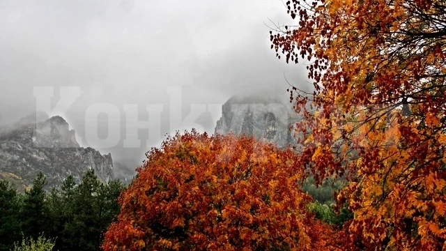 Дъждовно и мъгливо ще е времето днес
