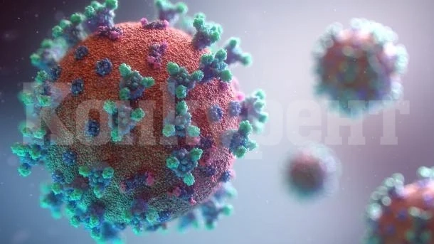 COVID уби още седем в Монтанско, 107 са новозаразените за денонощие