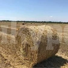 Откраднаха бали в Малорад, но ченгетата бързо възстановиха правдата