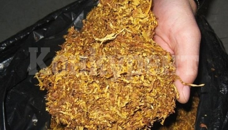 Намериха нелегален тютюн в къща във Врачанско