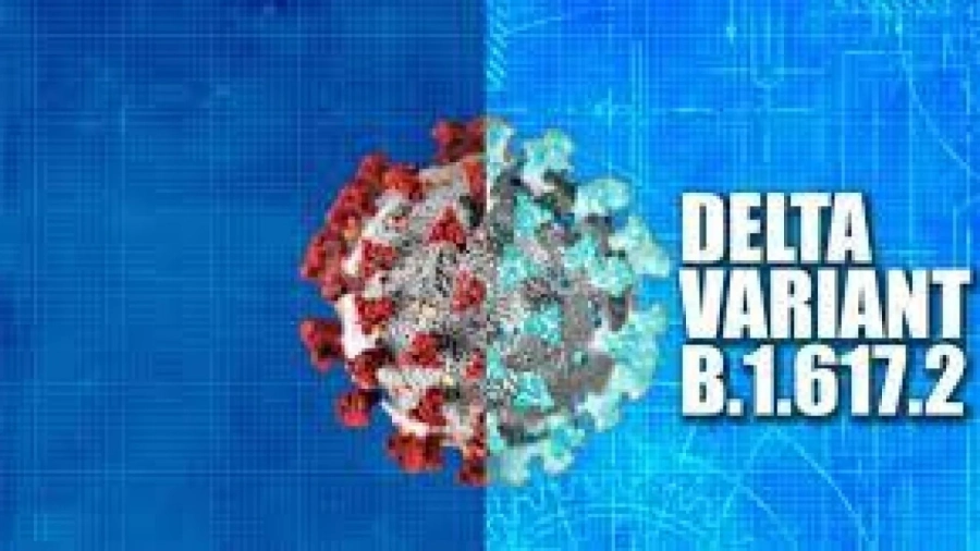 Въвеждат зелен сертификат и за учителите и администрацията