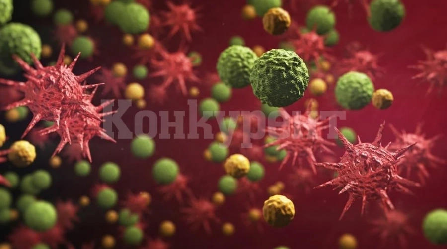 Испански учени откриха доказателства, че COVID-19 е сезонна инфекция