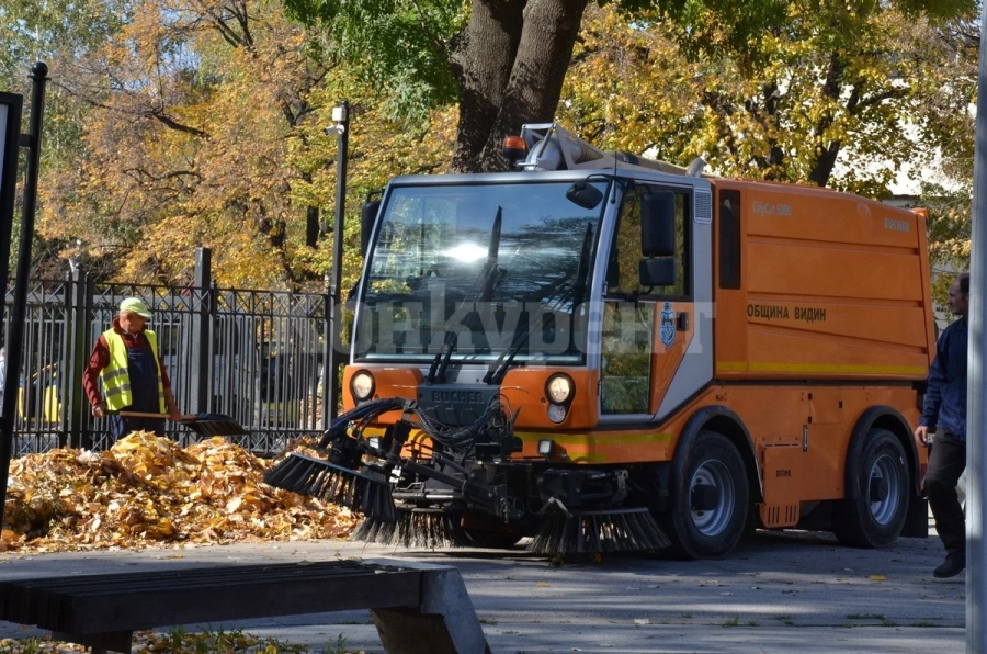 Събират машинно падналите листа във Видин