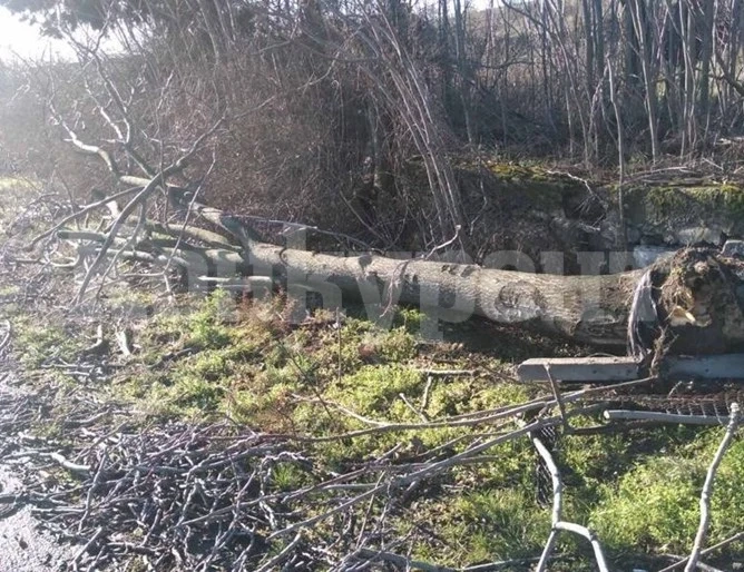 Бурни ветрове оставиха над 450 000 жилища без ток в Австралия