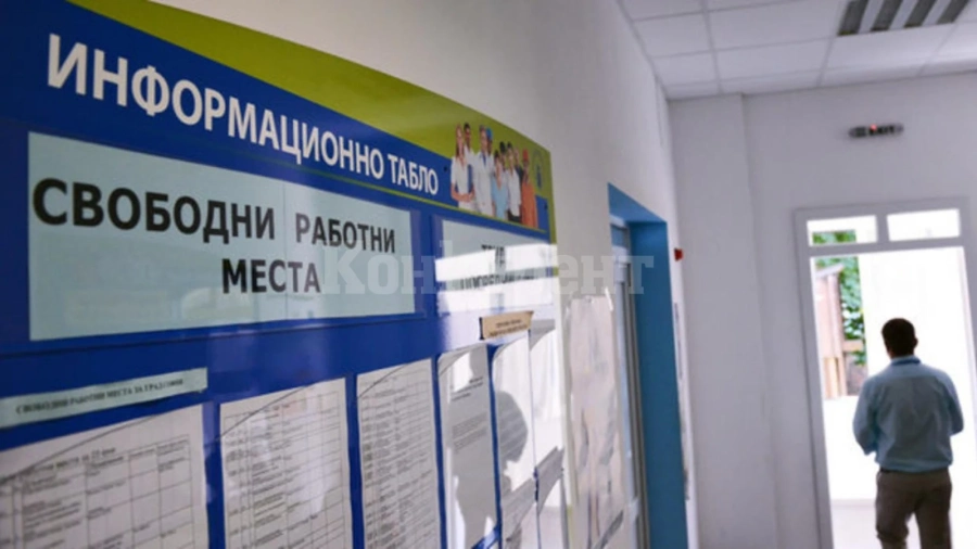 Безработните младежи намалели почти наполовина