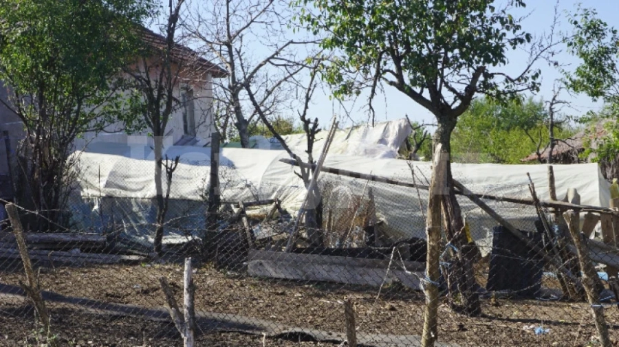 Жители на Киреево с подписка заради проблем с местно животновъдно стопанство