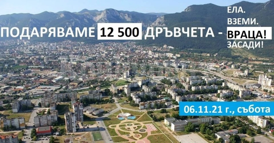 Подаряват 12 500 дръвчета във Враца