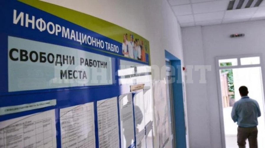 Все повече висшисти остават без работа във Врачанско 