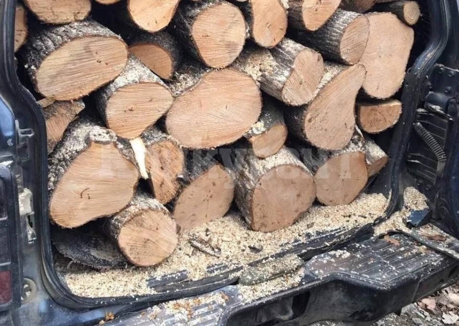 Спипаха бракониер, продал на баба незаконни дърва
