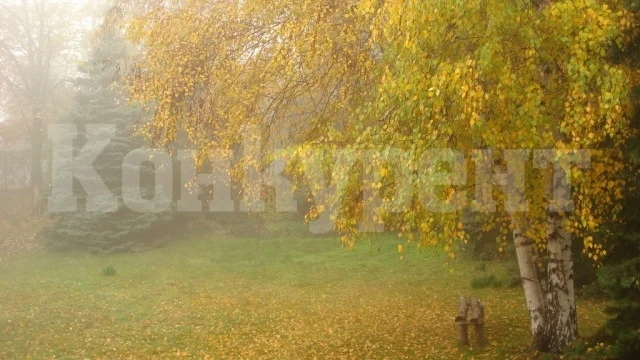 Понижение на температурите в петък