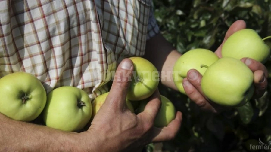 Градинарите разполагат с 23 дни да докажат продукцията си
