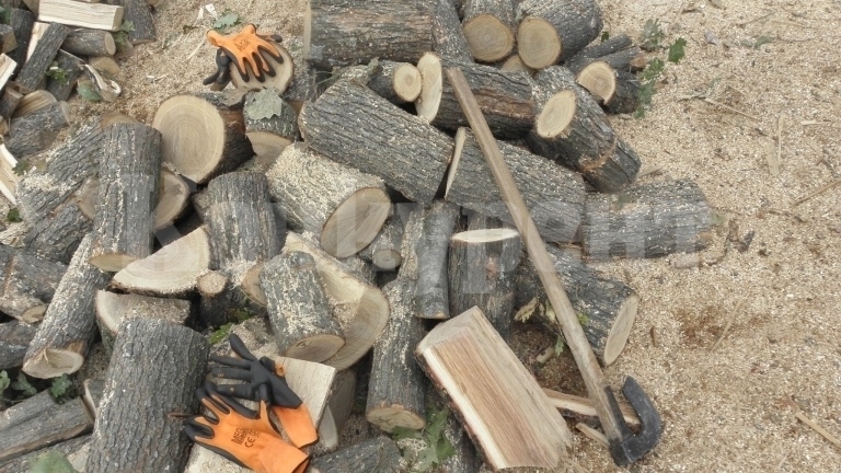 Намериха незаконни дърва на три адреса във врачанско село