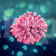 13 от 89 нови, заразени с коронавирус, се влошиха и влязоха в болници