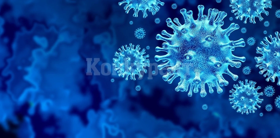 Какви са разликите между антителата след преболедуване и след ваксинация срещу COVID-19