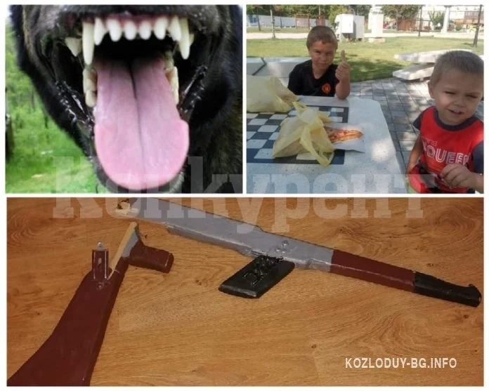 Куче нападна деца и баща им в Ботев парк в Козлодуй