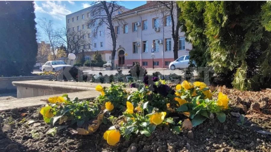 Анализ за развитие на децата и учениците представиха в община Кула