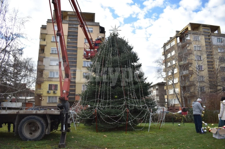 Коледната елха на Монтана грейва на Никулден