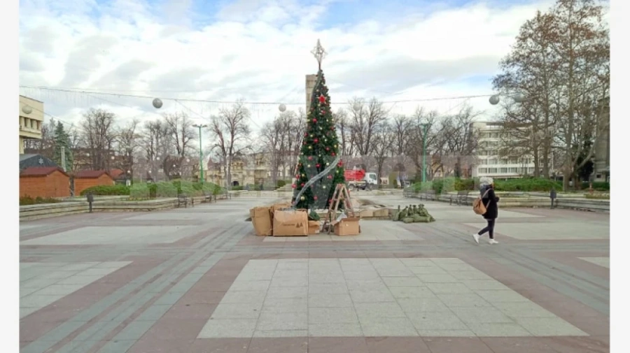 Монтират коледната елха във Видин