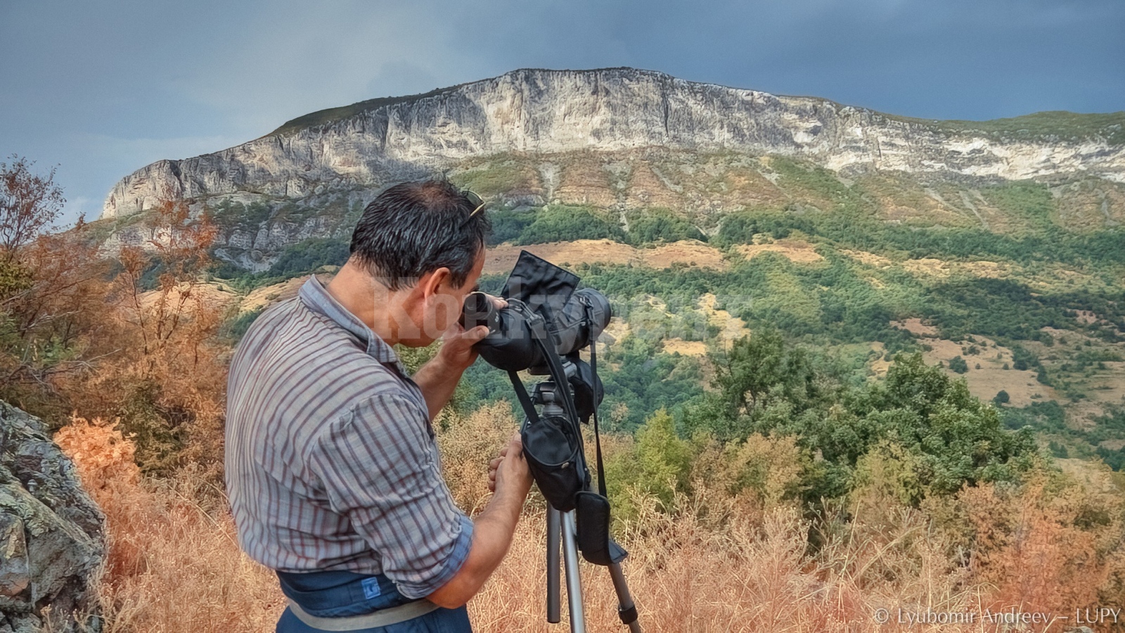 Откриха ново гнездо на черен лешояд във Врачански Балкан СНИМКИ ...