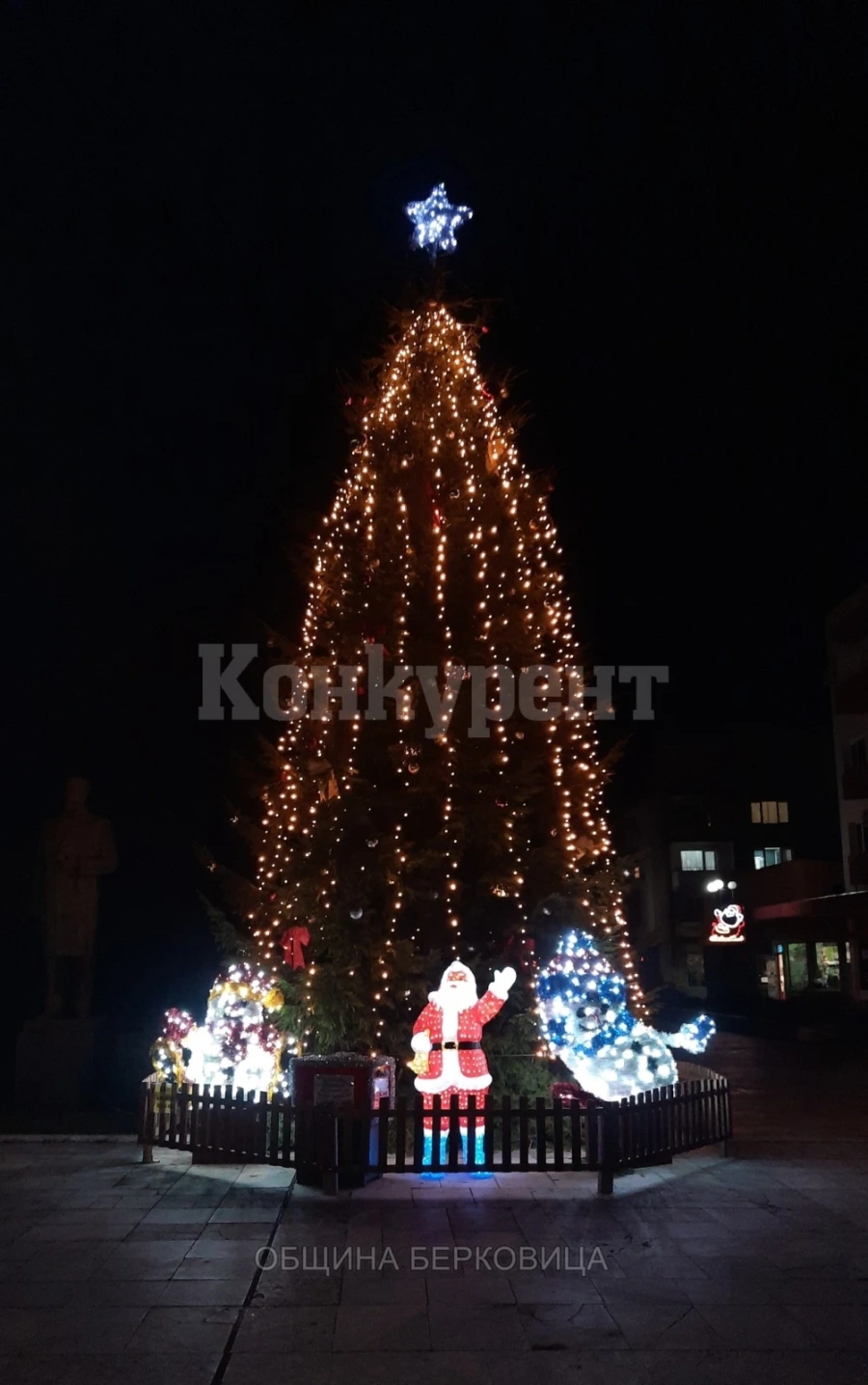 Грейна Коледната елха в Берковица СНИМКИ