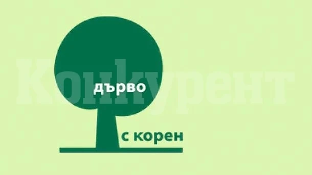 До 5 декември се подават на кандидатури за конкурса „Дърво с корен“