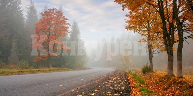Температурите ще се понижат, максималните ще са между 4° и 9°