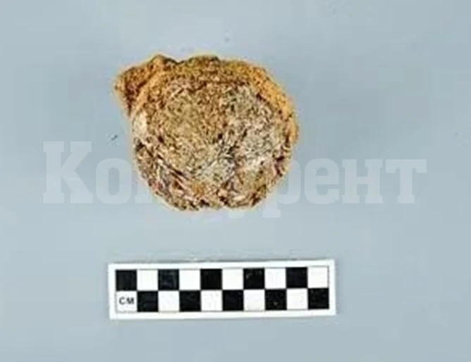 Китайски археолози откриха най-древните в света останки от чай