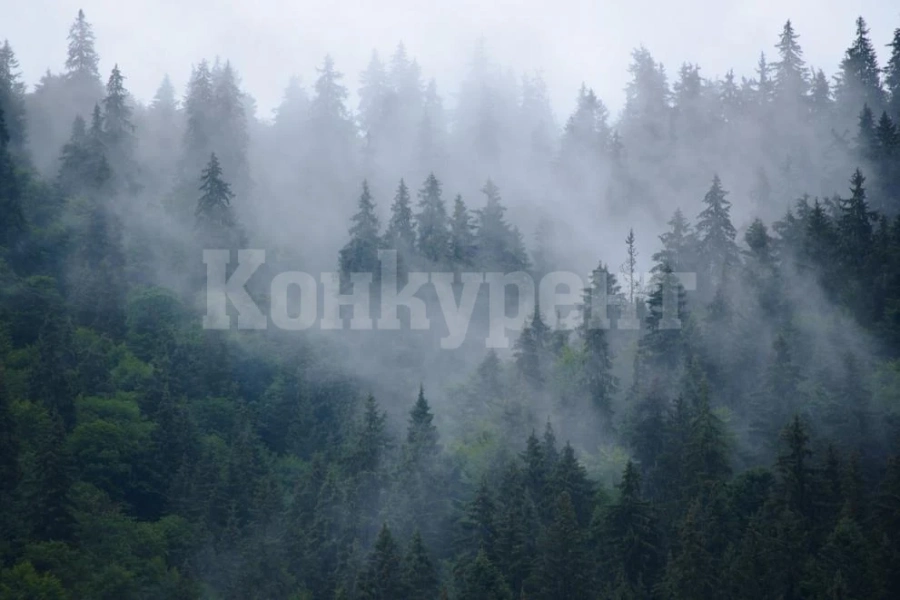 Вижте какво време ни очаква днес