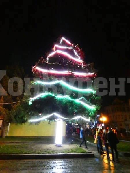 Коледната елха грейна и в Лом СНИМКИ