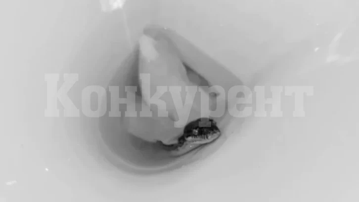 Жена влезе в тоалетната и изпадна в ужас от видяното