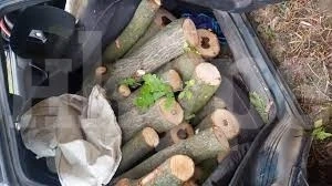 Удариха с 2 акта нередовен шофьор в Бойчиновци, наблъскал кола с дърва