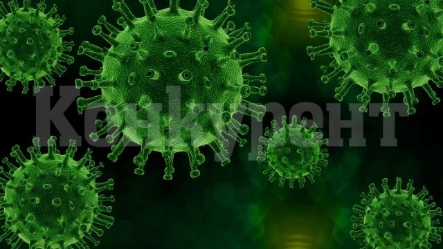 Учени информираха за три теории за произхода на Омикрон