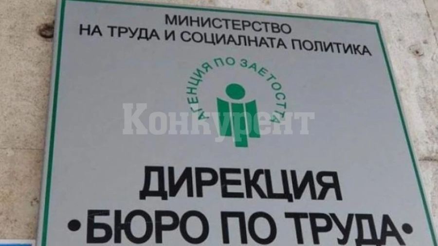 Вижте какви са свободните работни места във Видинско в началото на годината