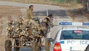 Трима отнесоха актове заради незаконни дърва